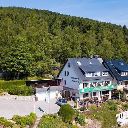 Cafe- Pension Fernblick, Incl Meinecardplus Willingen  Zewnętrze zdjęcie